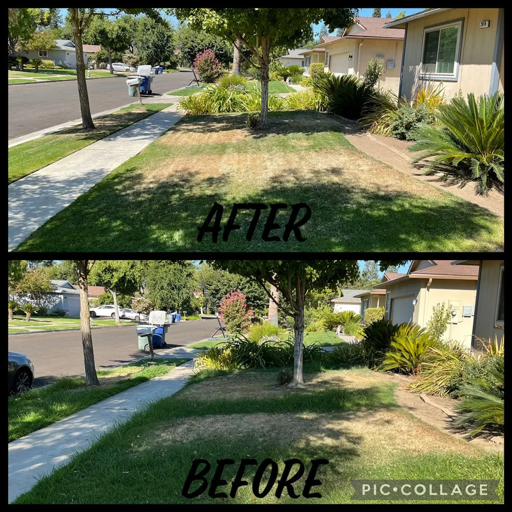 Reliable residential landscaping experts serving Fresno, CA - Cutting Edge Property Solutions