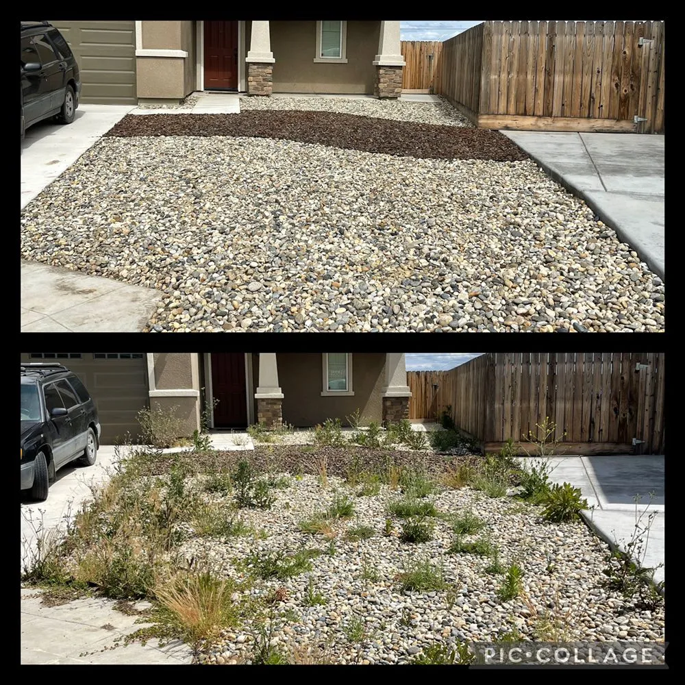 Custom landscape installation experts serving Fresno, CA - Cutting Edge Property Solutions