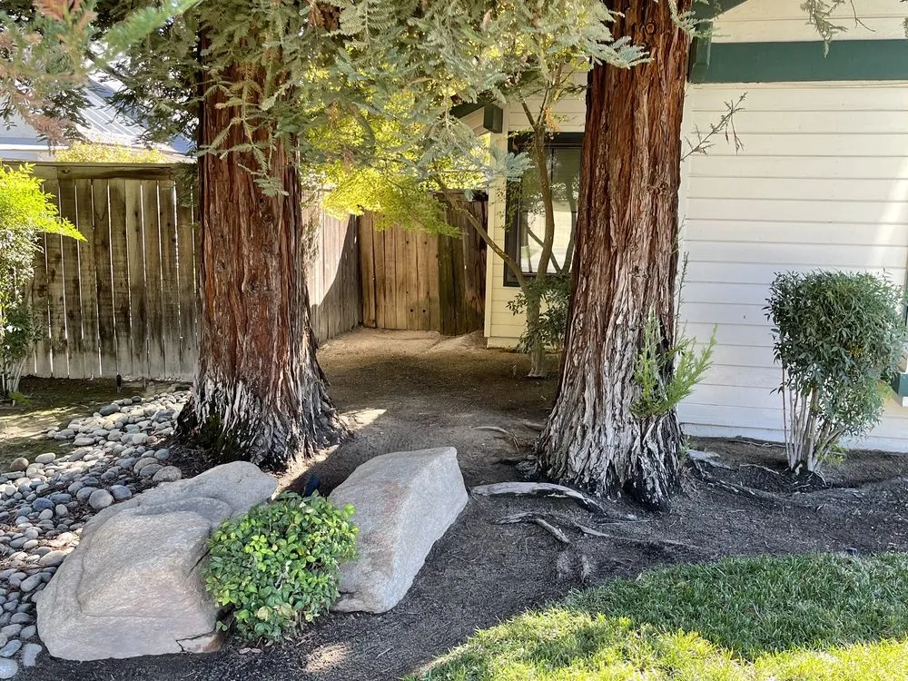 Local lawn care service for year-round maintenance across Fresno, CA - Cutting Edge Property Solutions