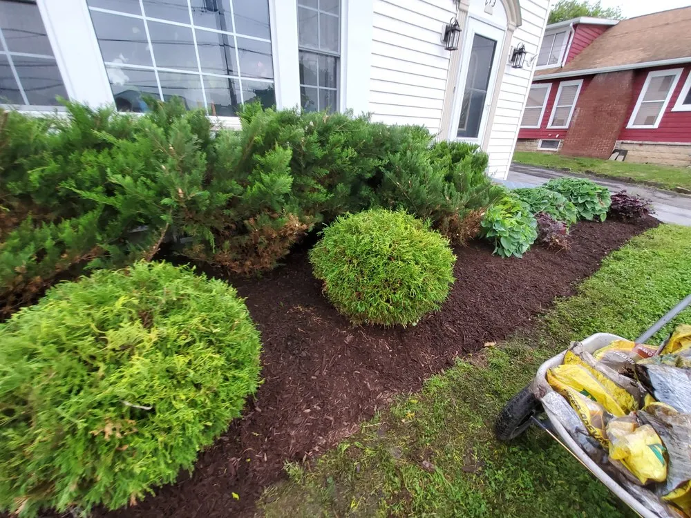 Reliable yard cleanup service for residential properties across Farrandsville, PA - Cutting Edge Service