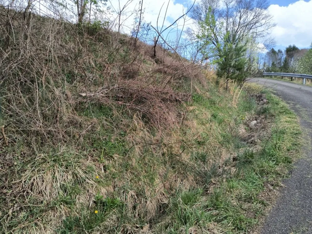 Local lawn mowing service for year-round maintenance across Mountain City, TN - Cutting Edge Services