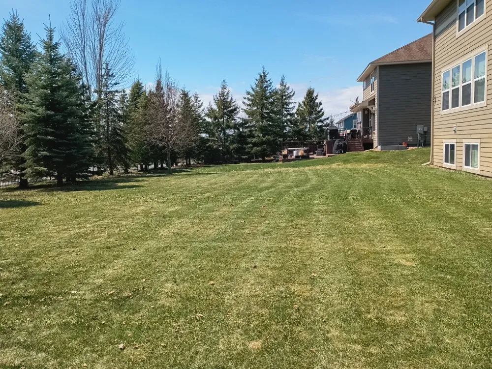 Professional yard cleanup service with custom design in Saint Paul, MN by Cutting Edge Services