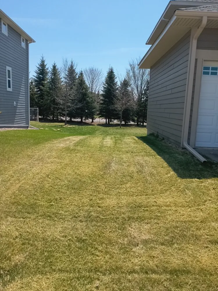 Professional residential landscaping for outdoor upgrades in Saint Paul, MN by Cutting Edge Services