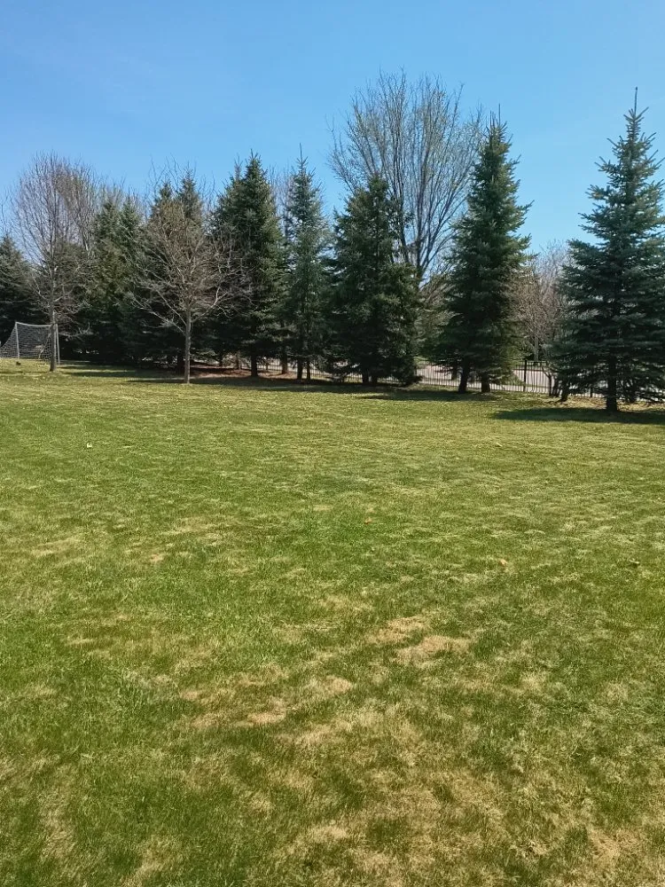 Reliable yard maintenance experts serving Saint Paul, MN - Cutting Edge Services