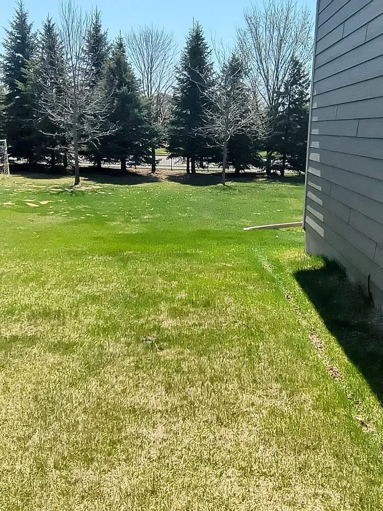Professional lawn mowing service for outdoor upgrades across Saint Paul, MN - Cutting Edge Services