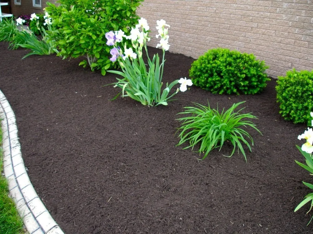 Professional outdoor landscaping in Sanborn, NY by Cutting Edge Services