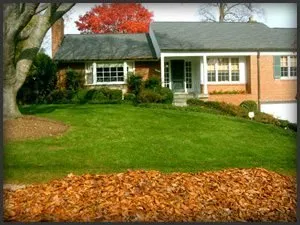 Cutting Edge Total Lawn Care