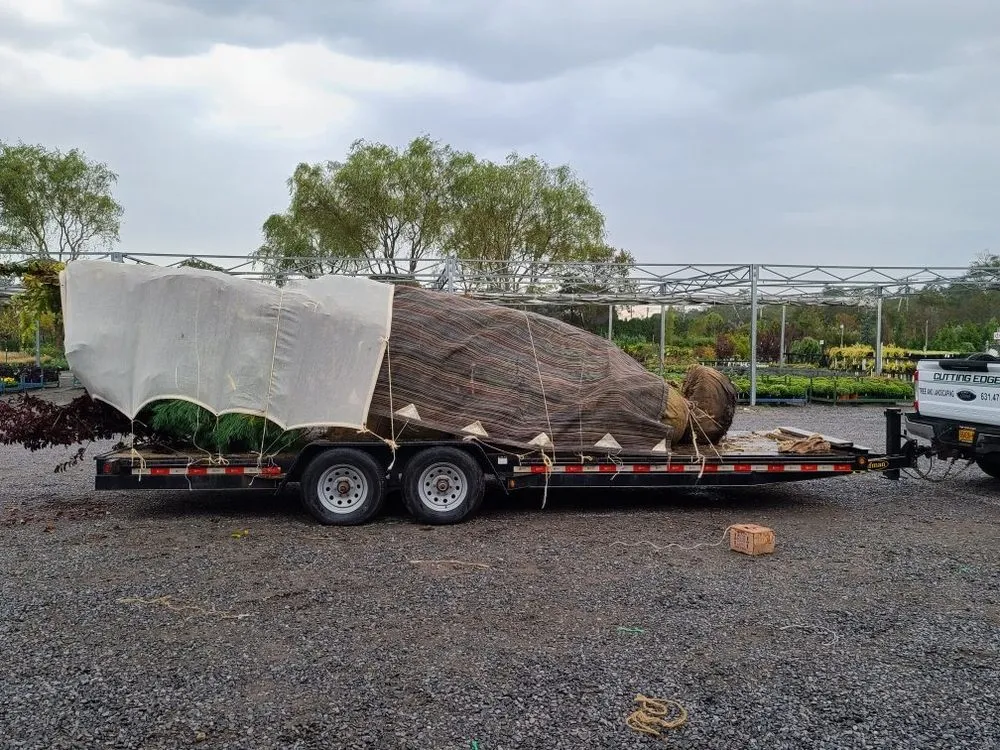 Affordable lawn care service for residential properties across Huntington, NY - Cutting Edge Tree and Landscaping