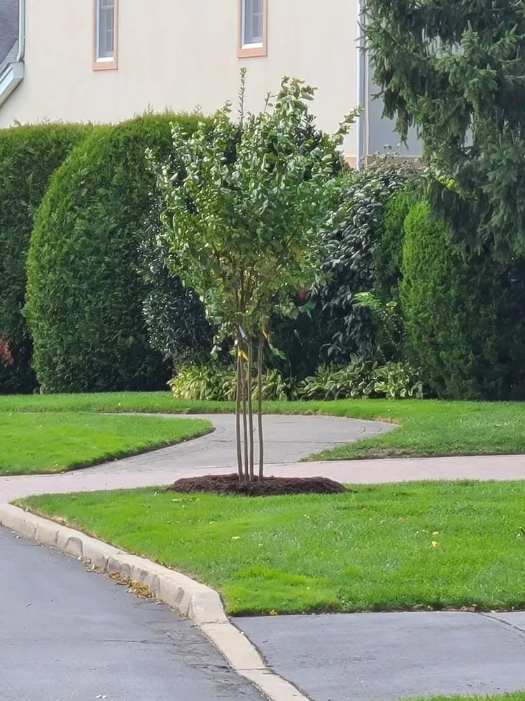 Professional lawn mowing service experts serving Huntington, NY - Cutting Edge Tree and Landscaping