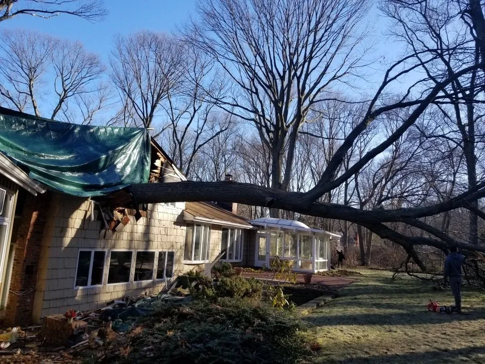 Top-rated outdoor landscaping experts serving Huntington, NY - Cutting Edge Tree and Landscaping