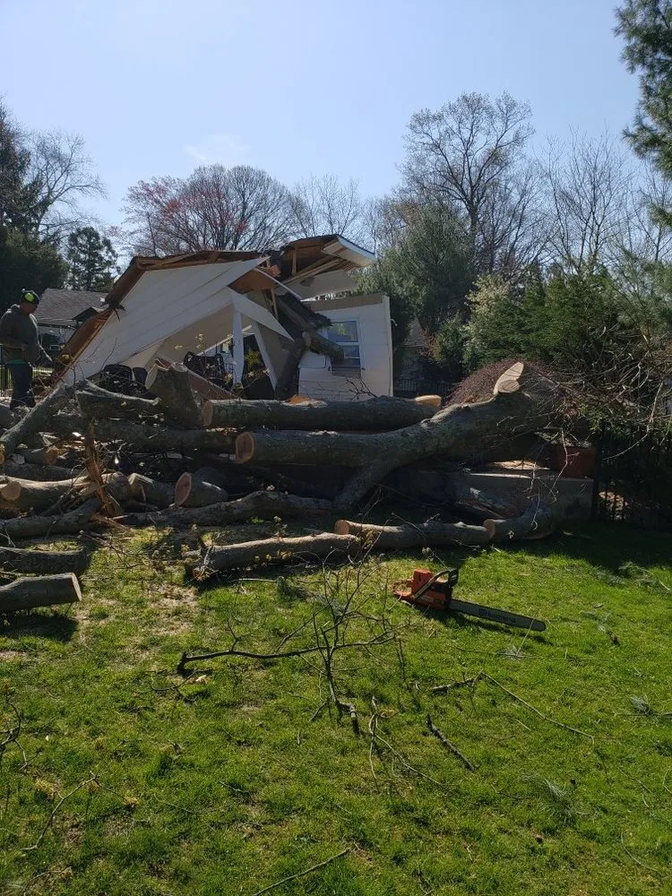 Top-rated lawn care service with custom design in Huntington, NY by Cutting Edge Tree and Landscaping