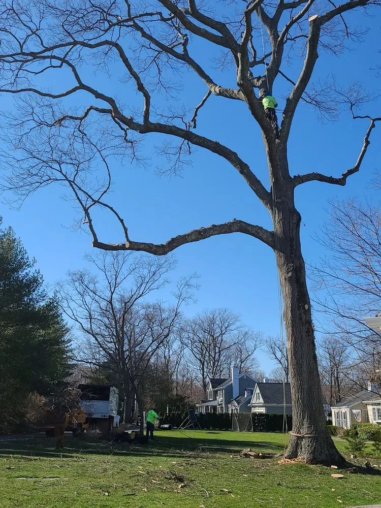Expert landscape design in Huntington, NY - Cutting Edge Tree and Landscaping