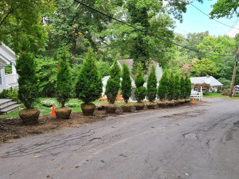 Top-rated yard cleanup service in Huntington, NY - Cutting Edge Tree and Landscaping
