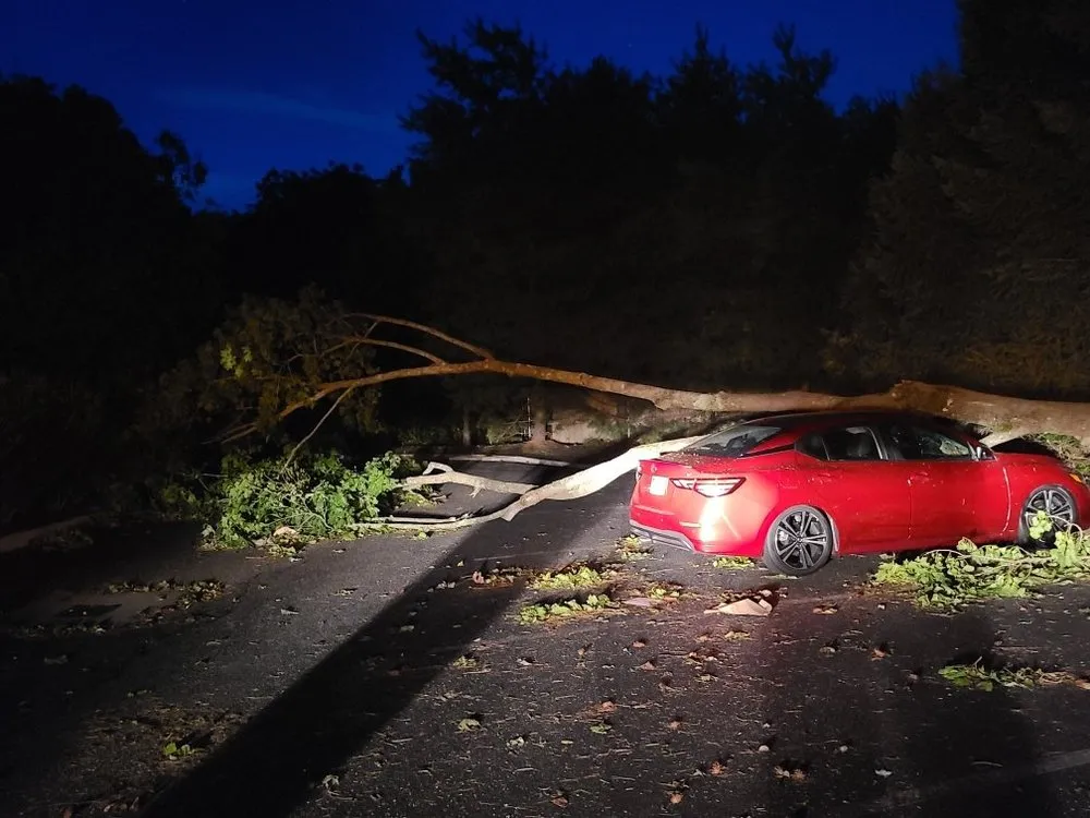 Local yard cleanup service in Huntington, NY - Cutting Edge Tree and Landscaping