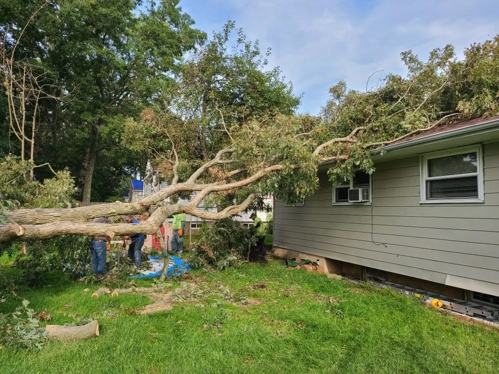 Top-rated landscaping services in Huntington, NY - Cutting Edge Tree and Landscaping