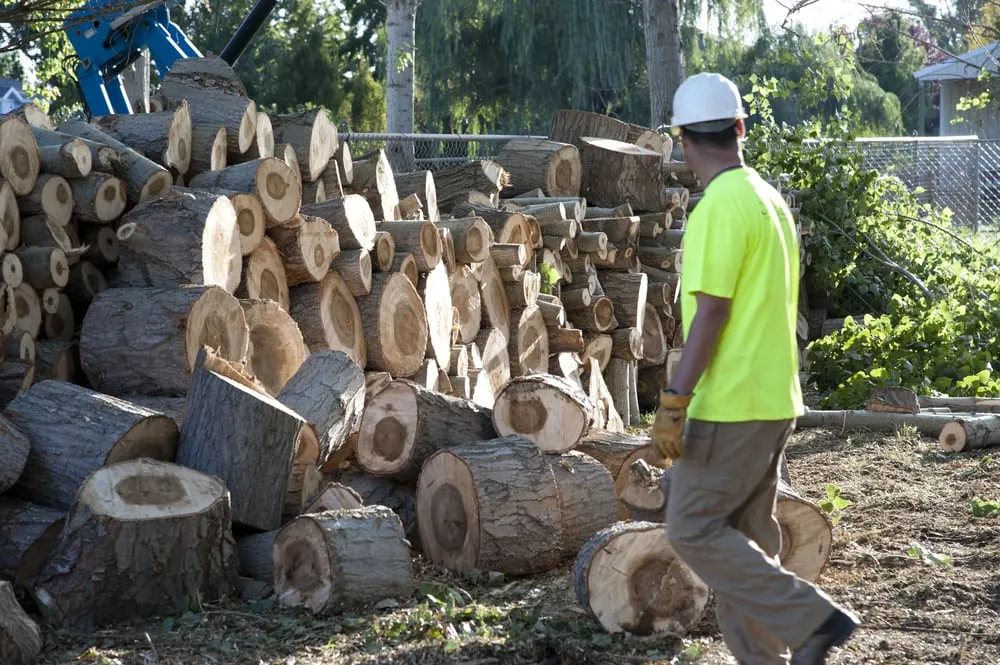 Top-rated landscape design for year-round maintenance in Layton, UT by Cutting Edge Tree Professionals