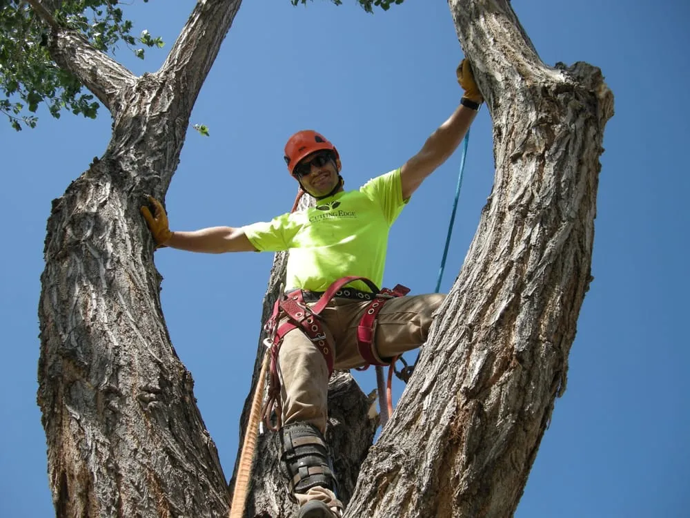 Trusted outdoor landscaping experts serving Layton, UT - Cutting Edge Tree Professionals