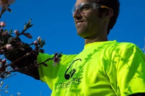 Affordable lawn care service for residential properties across Layton, UT - Cutting Edge Tree Professionals