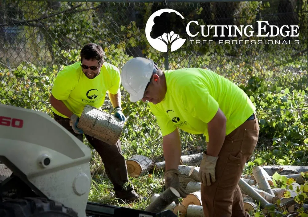 Local lawn mowing service in Layton, UT by Cutting Edge Tree Professionals