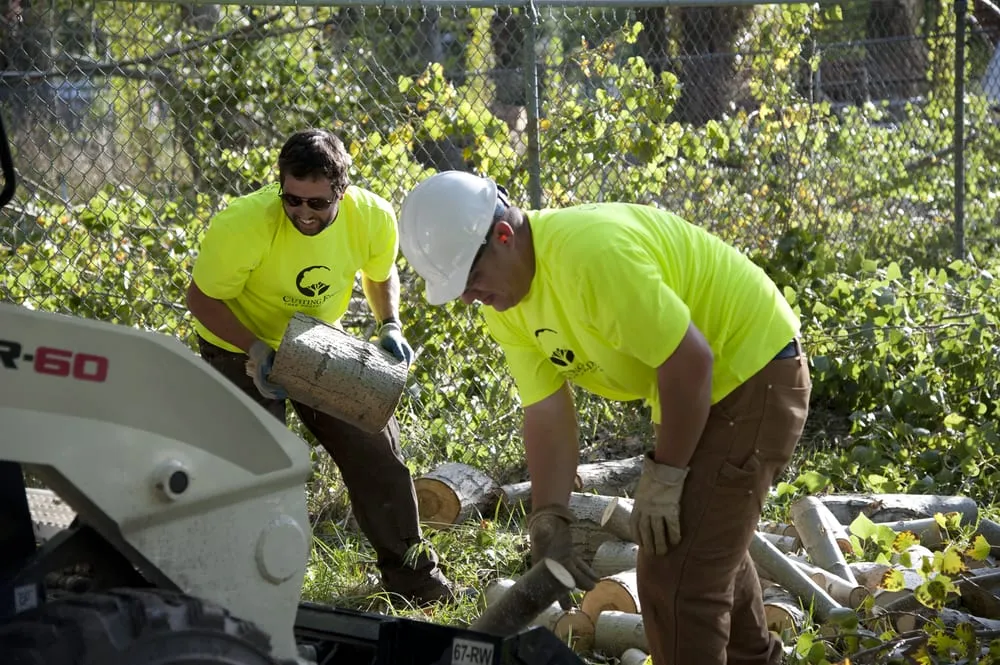 Custom residential landscaping with custom design in Layton, UT by Cutting Edge Tree Professionals