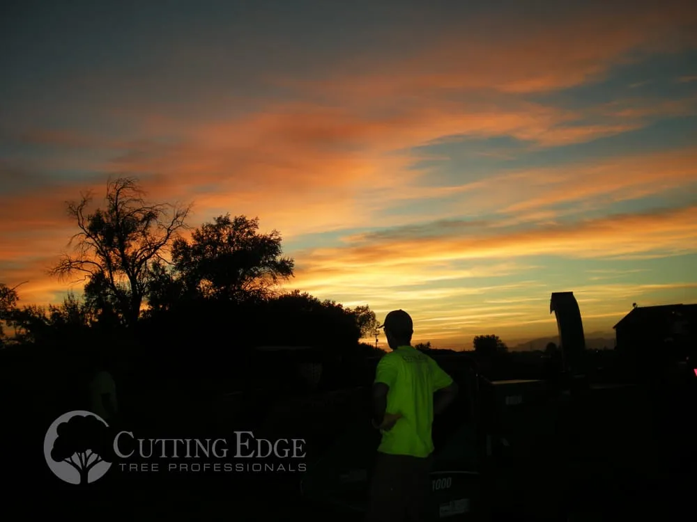 Trusted residential landscaping in Layton, UT - Cutting Edge Tree Professionals