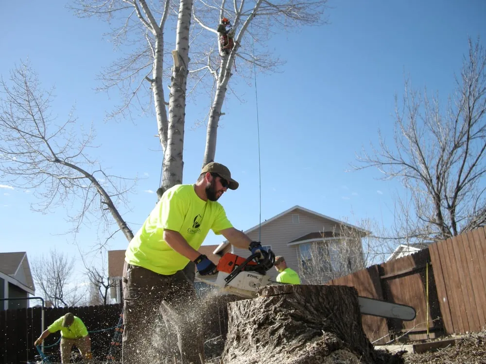 Expert landscaping services for homes in Layton, UT by Cutting Edge Tree Professionals