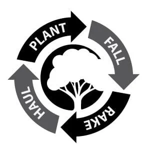 Trusted landscaping services experts serving Layton, UT - Cutting Edge Tree Professionals