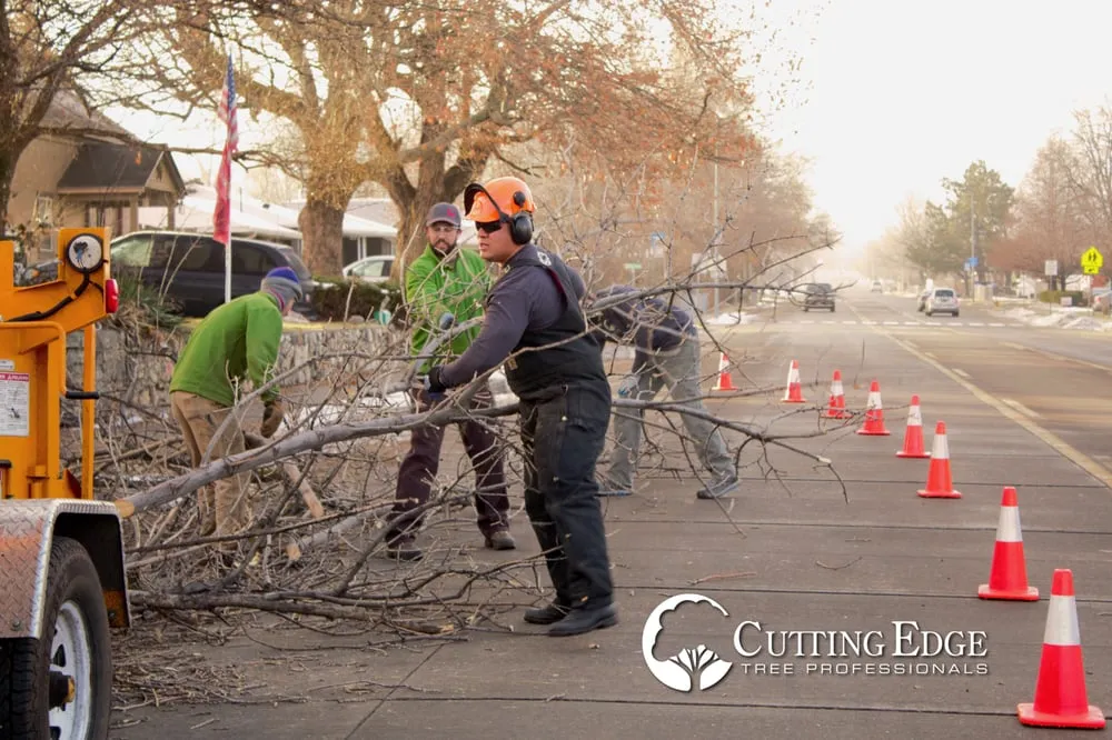 Custom landscape installation in Layton, UT by Cutting Edge Tree Professionals