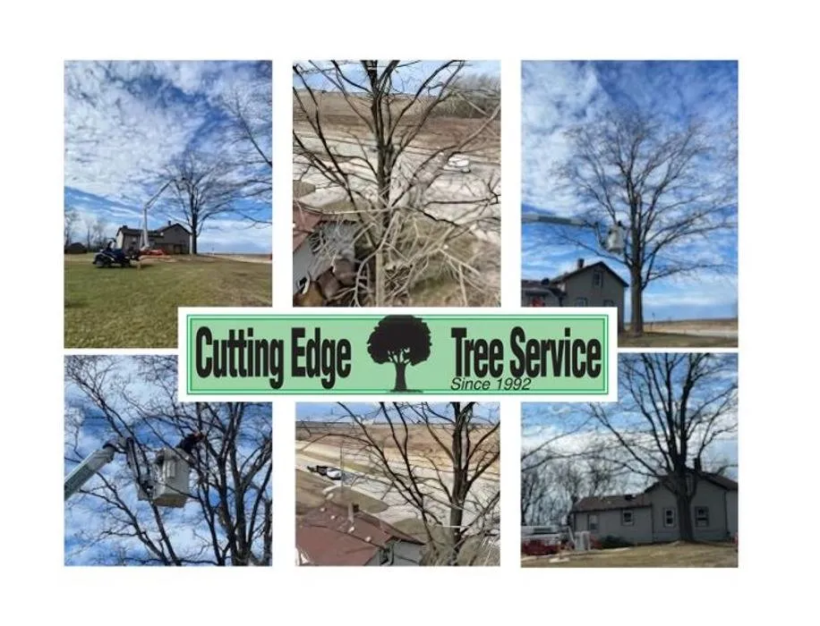 Expert landscape installation in Racine, WI - Cutting Edge Tree Service
