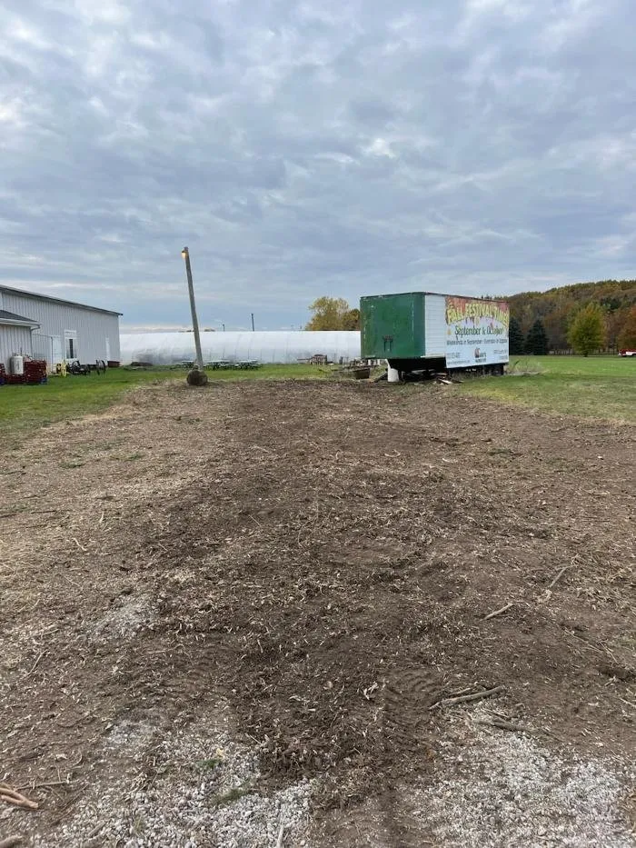 Expert yard cleanup service for residential properties across Racine, WI - Cutting Edge Tree Service