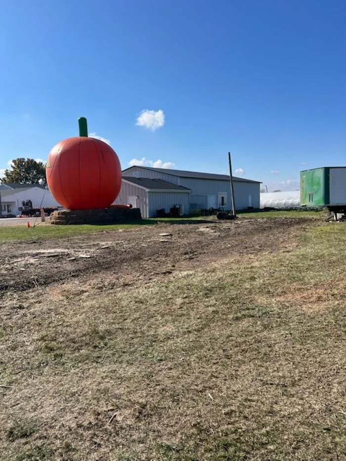 Reliable landscape installation in Racine, WI - Cutting Edge Tree Service