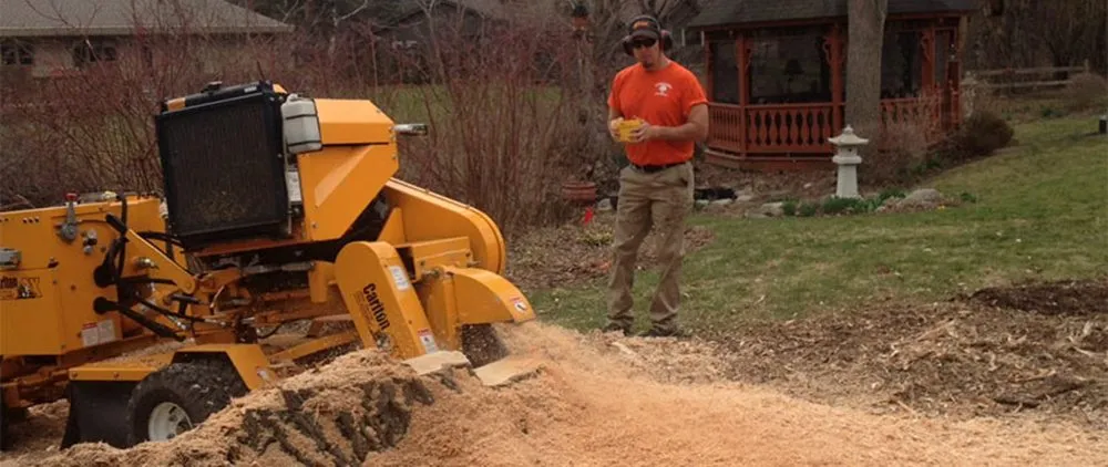 Top-rated yard maintenance in Racine, WI by Cutting Edge Tree Service