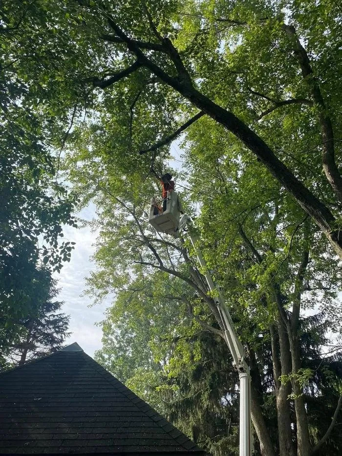 Expert lawn care service in Racine, WI - Cutting Edge Tree Service