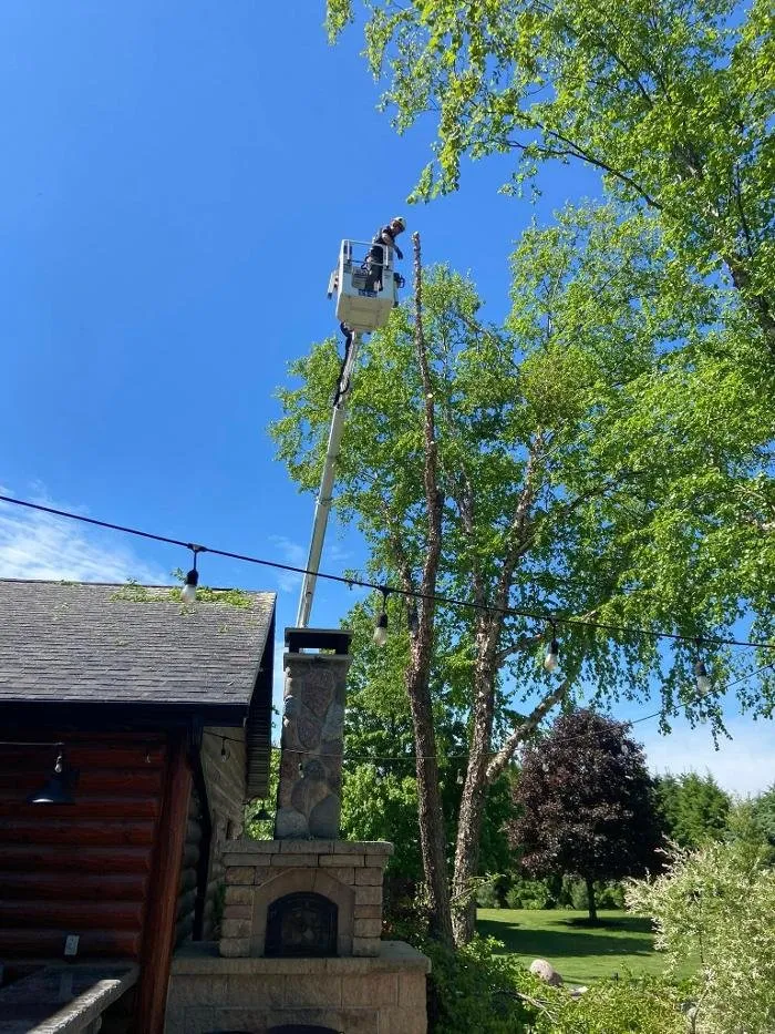 Trusted yard maintenance with custom design across Racine, WI - Cutting Edge Tree Service