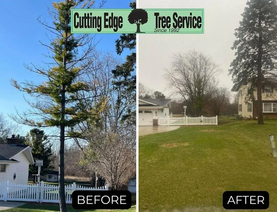 Top-rated lawn mowing service in Racine, WI by Cutting Edge Tree Service