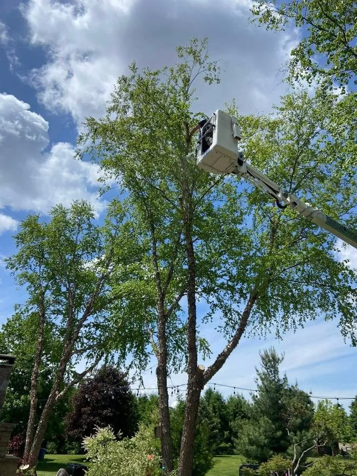 Expert outdoor landscaping in Racine, WI - Cutting Edge Tree Service