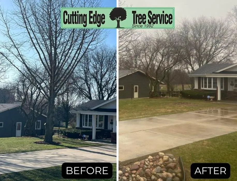 Top-rated lawn mowing service for homes in Racine, WI by Cutting Edge Tree Service