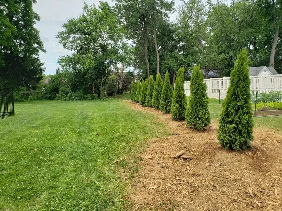 Professional yard maintenance in Nazareth, PA - Cutting Edge Worx