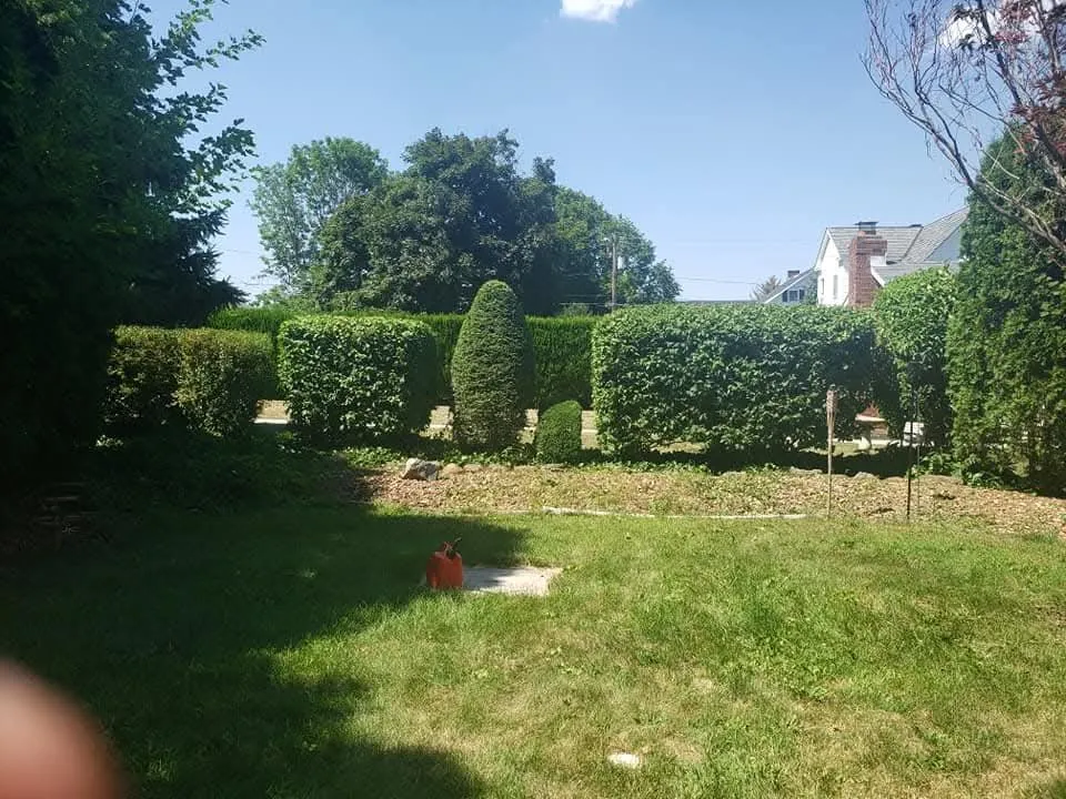 Local yard cleanup service in Nazareth, PA - Cutting Edge Worx