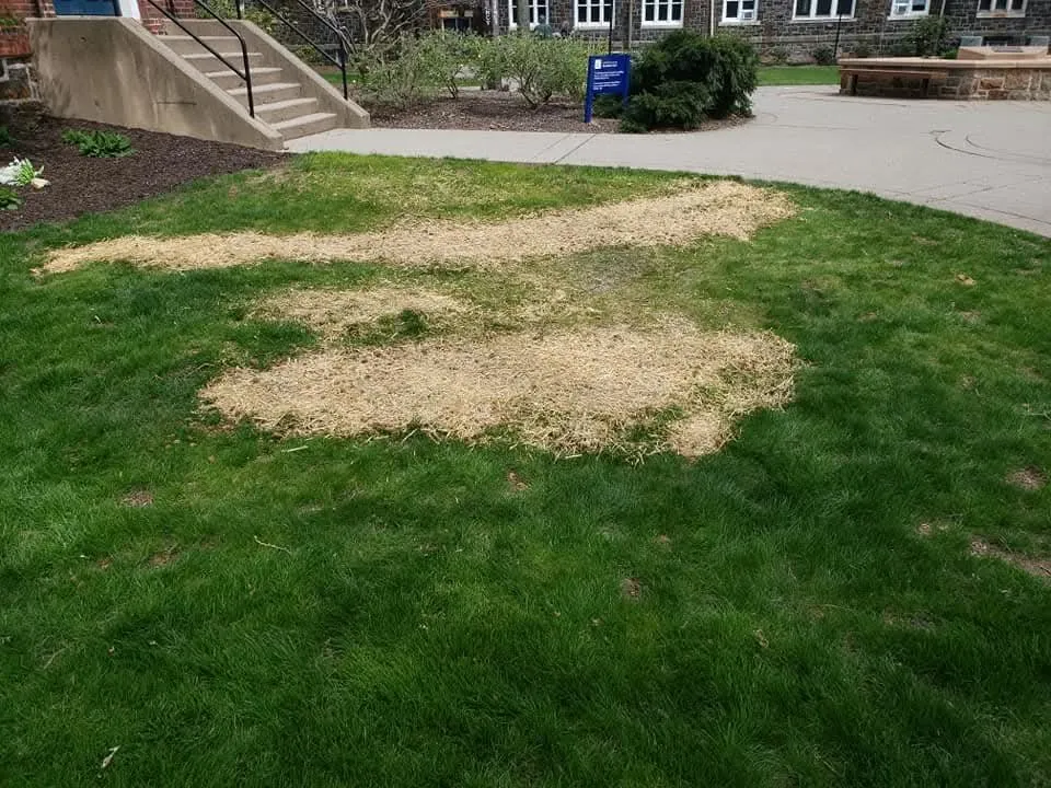 Affordable landscape installation with custom design across Nazareth, PA - Cutting Edge Worx