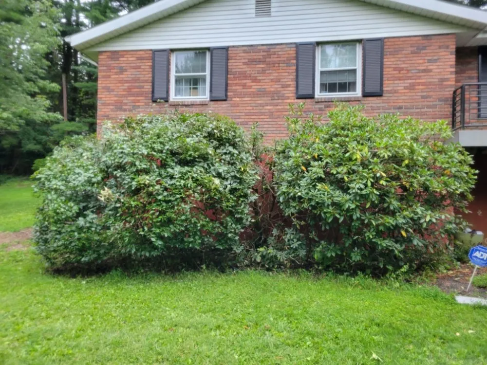 Reliable lawn care service in Nazareth, PA by Cutting Edge Worx