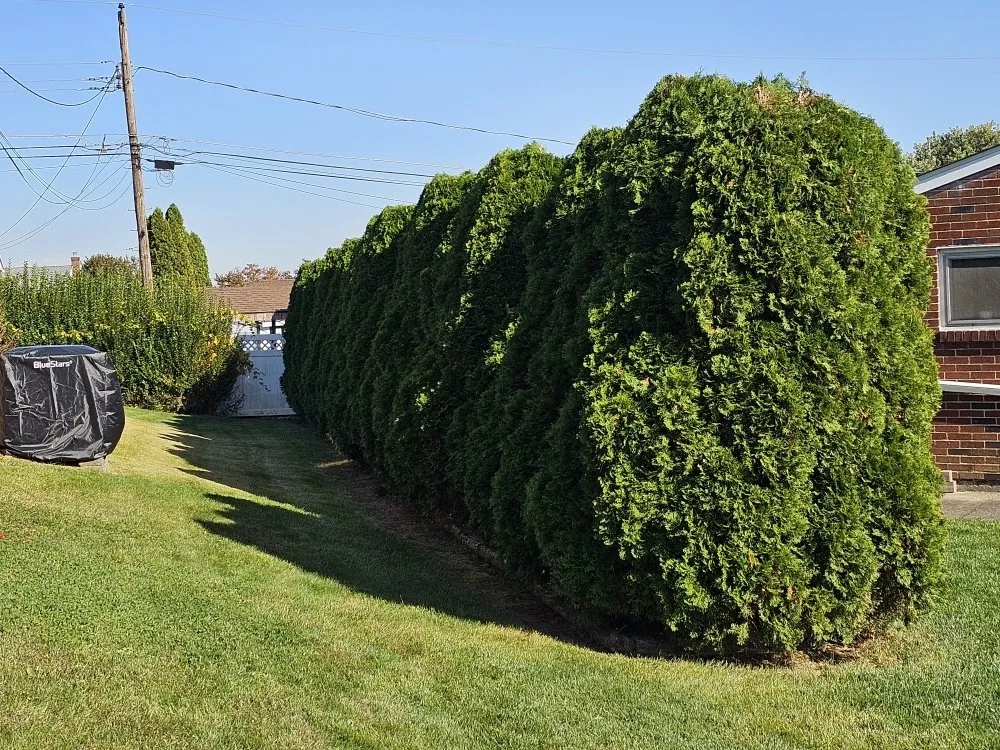 Local landscaping services in Nazareth, PA - Cutting Edge Worx