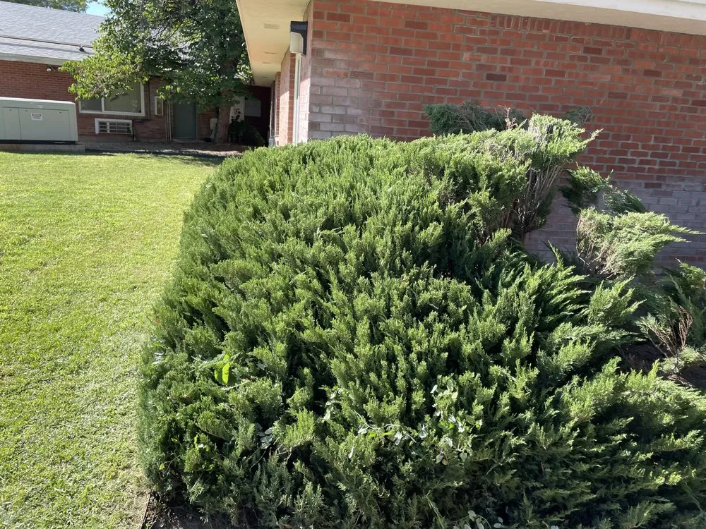 Local residential landscaping in Farmington, NM - Cutting Edge Yard Care