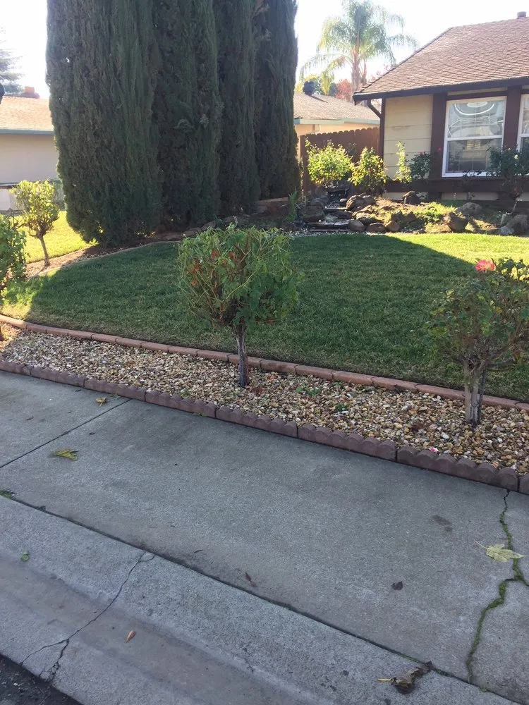 Reliable lawn mowing service in Yuba City, CA - Cutting Edge Yard Care