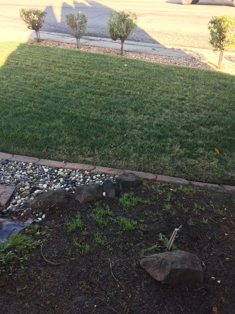 Top-rated landscape installation near you in Yuba City, CA by Cutting Edge Yard Care