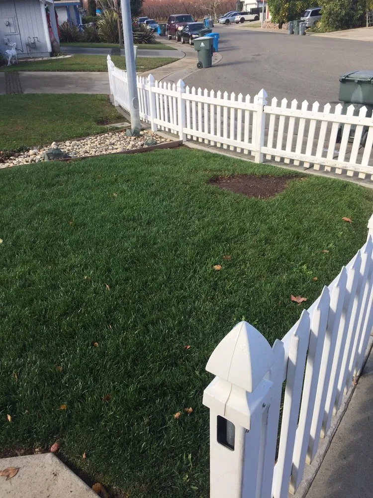Reliable residential landscaping in Yuba City, CA by Cutting Edge Yard Care
