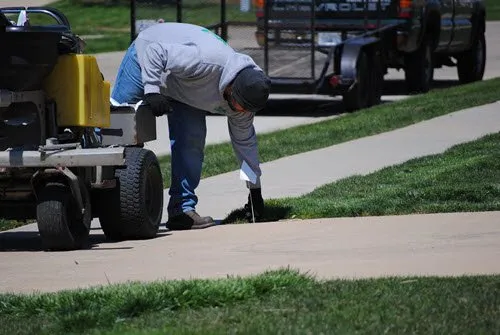 Top-rated yard maintenance experts serving Springfield, IL - Cutting Edge Yard Service