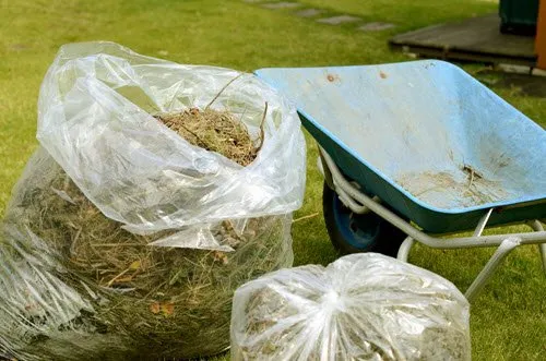 Affordable residential landscaping experts serving Springfield, IL - Cutting Edge Yard Service