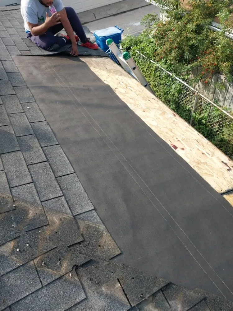 Reliable outdoor landscaping experts serving Chicago, IL - Cutting Edgg Lawncare Services