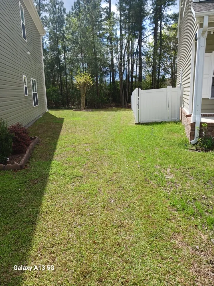 Affordable landscape installation for outdoor upgrades in Conway, SC by Cutting Grass and Cutting Prices